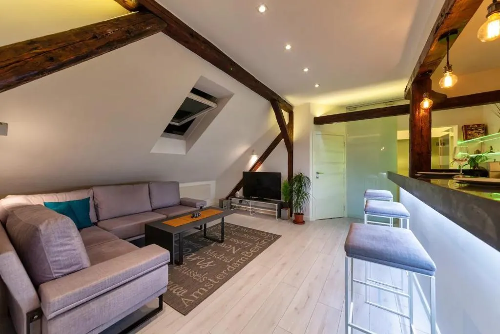 City Centre Rooftop Knez Mihailova Apartment