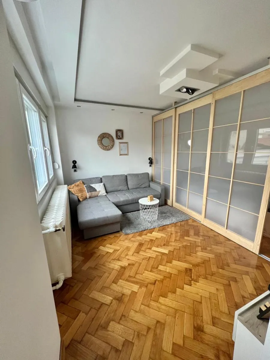 Comfortable apartment in city hub — 2