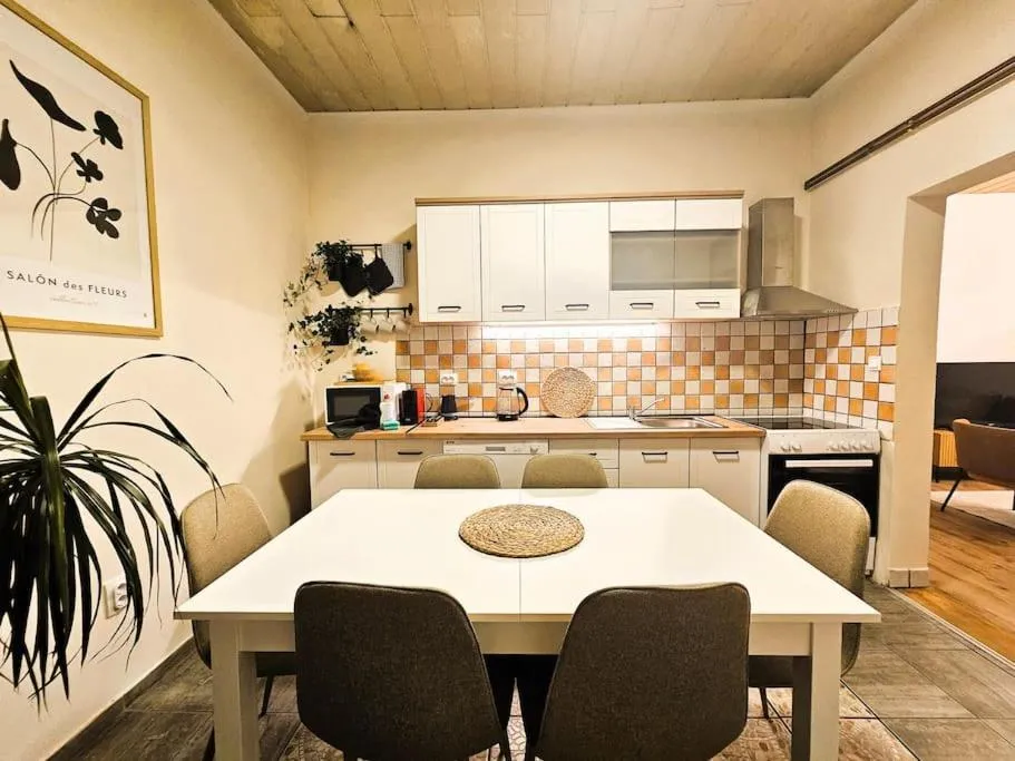 Dorcol-Manhattan 90m2 apartment