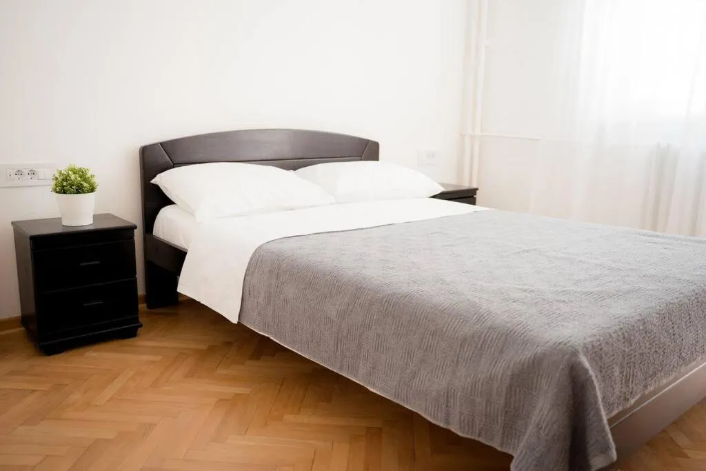 Downtown, spacious, 2 bedroom apartment — 2