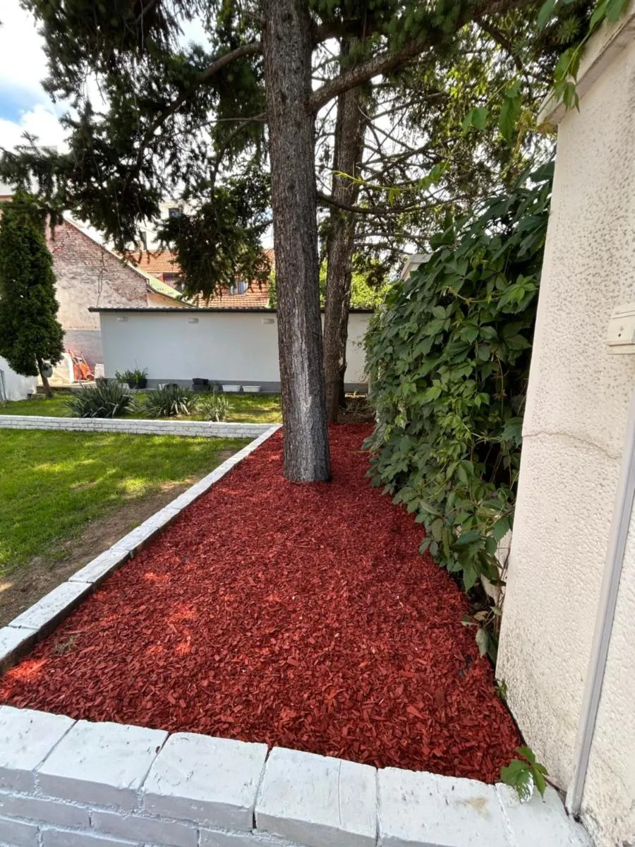 Magenta Garden — 3