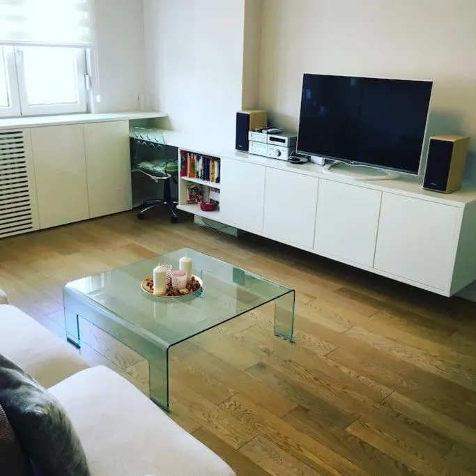 Maya’s Downtown Apartment — 5