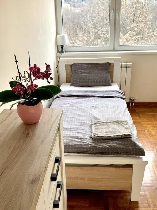 Sunkissed apartment — 4