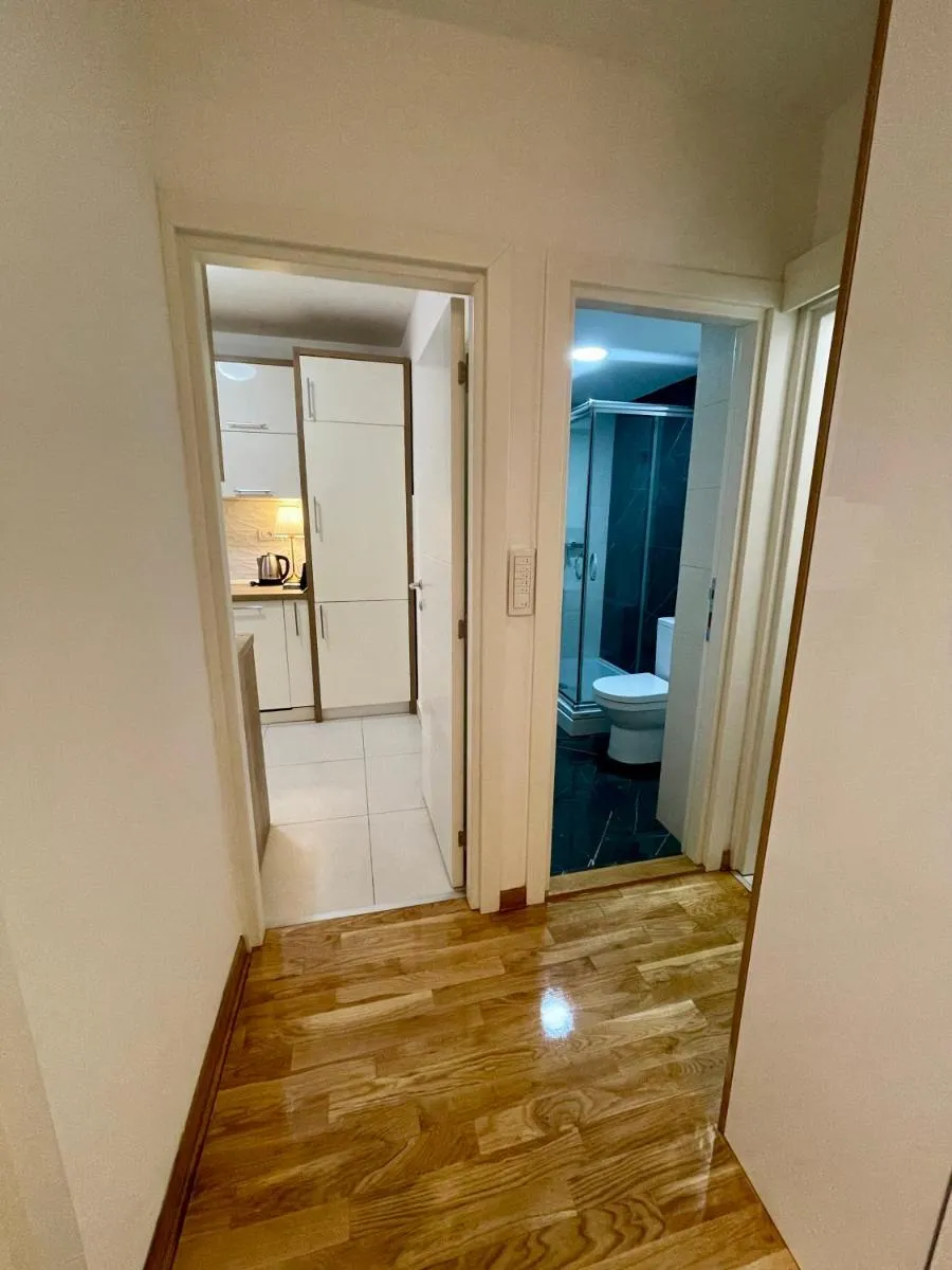 Tiara Vracar Apartment — 4