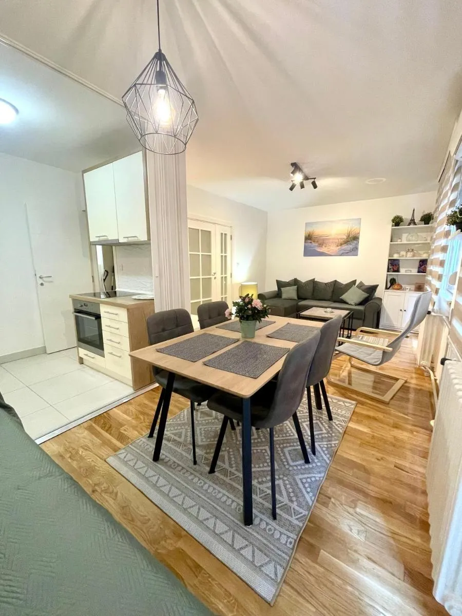 Tiara Vracar Apartment — 5