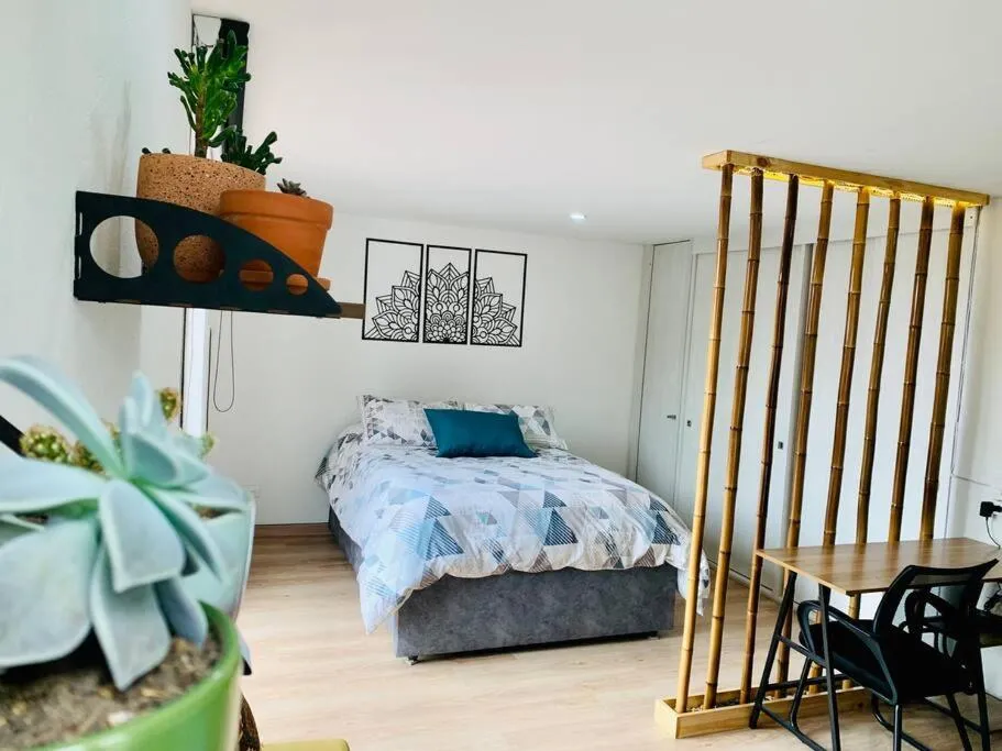 Image of Amazing loft in La Candelaria