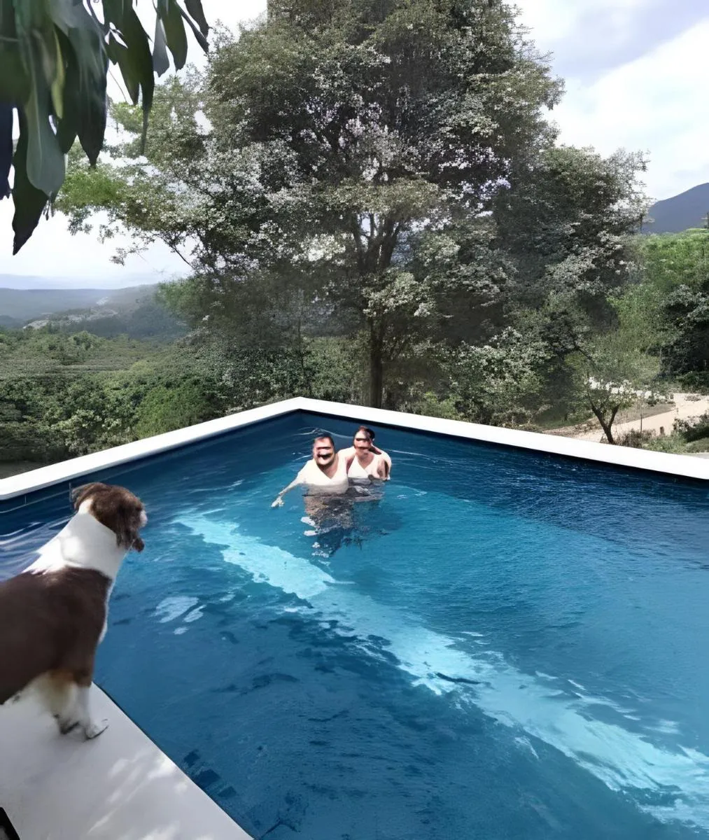 Image 3 of CASA CON PISCINA RODEADA DE VERDE EN ANAPOIMA