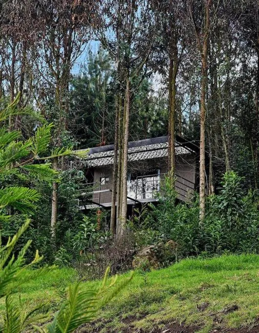 Image 3 of Cabaña en Tabio
