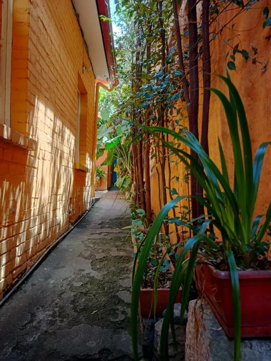 Image 5 of Casa-Arbol