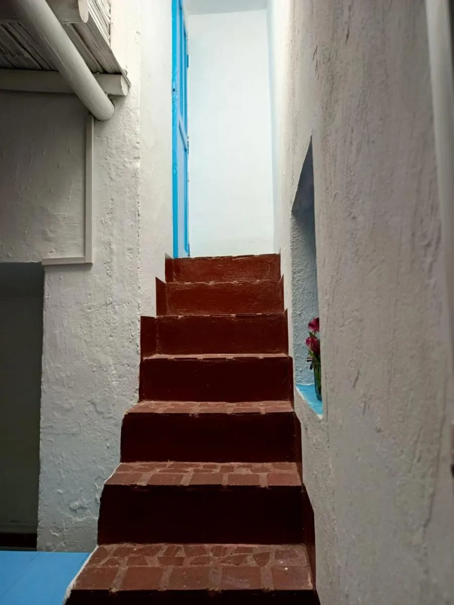 Image 4 of Casa-Arbol
