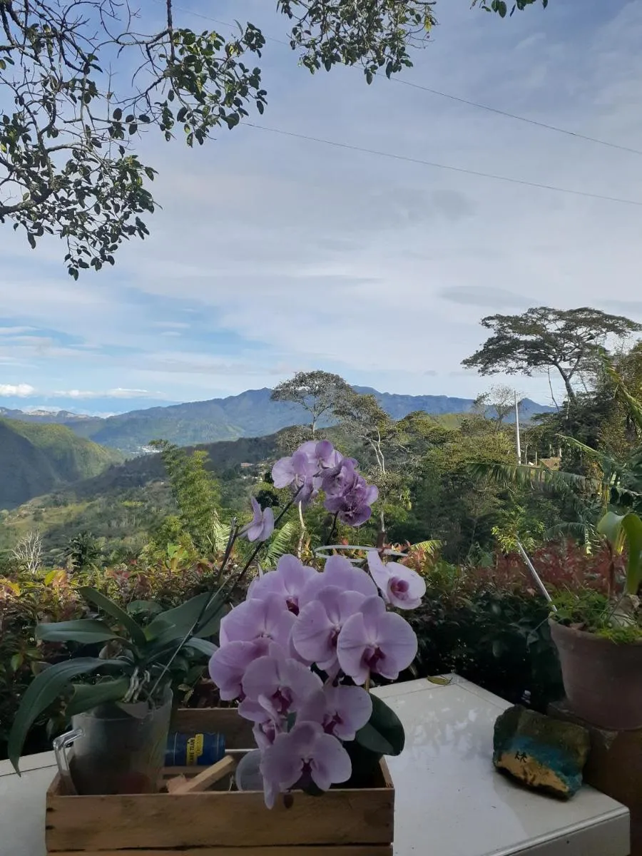 Image 5 of Casa finca El Girasol