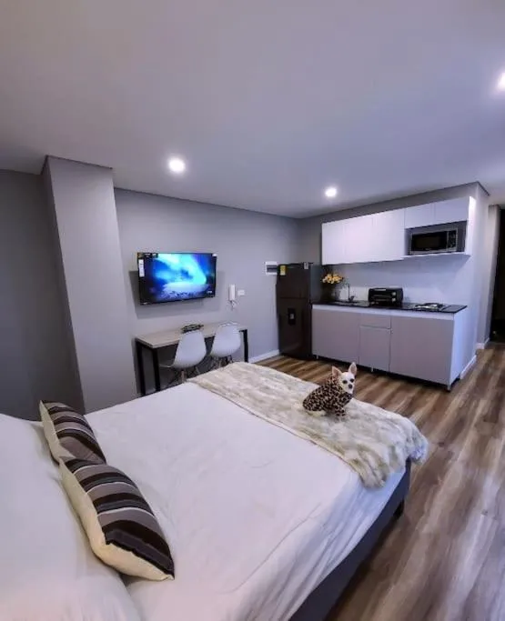 Image 3 of Céntrico Loft Turístico-Negocios