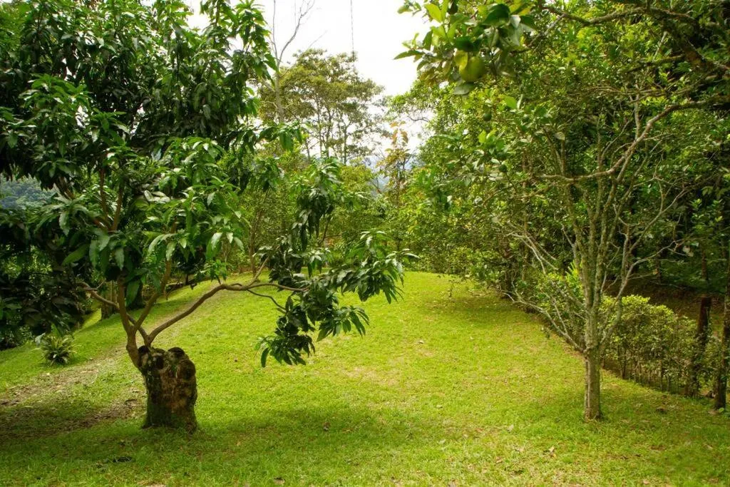 Image 6 of Eco Cabañas San Lorenzo