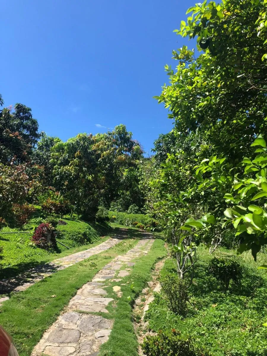 Image 3 of FINCA FILANDIA