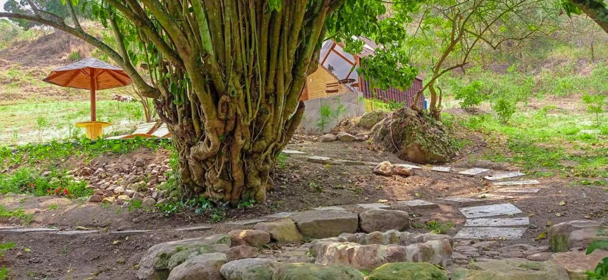 Image 2 of Glamping Corazón del Molino