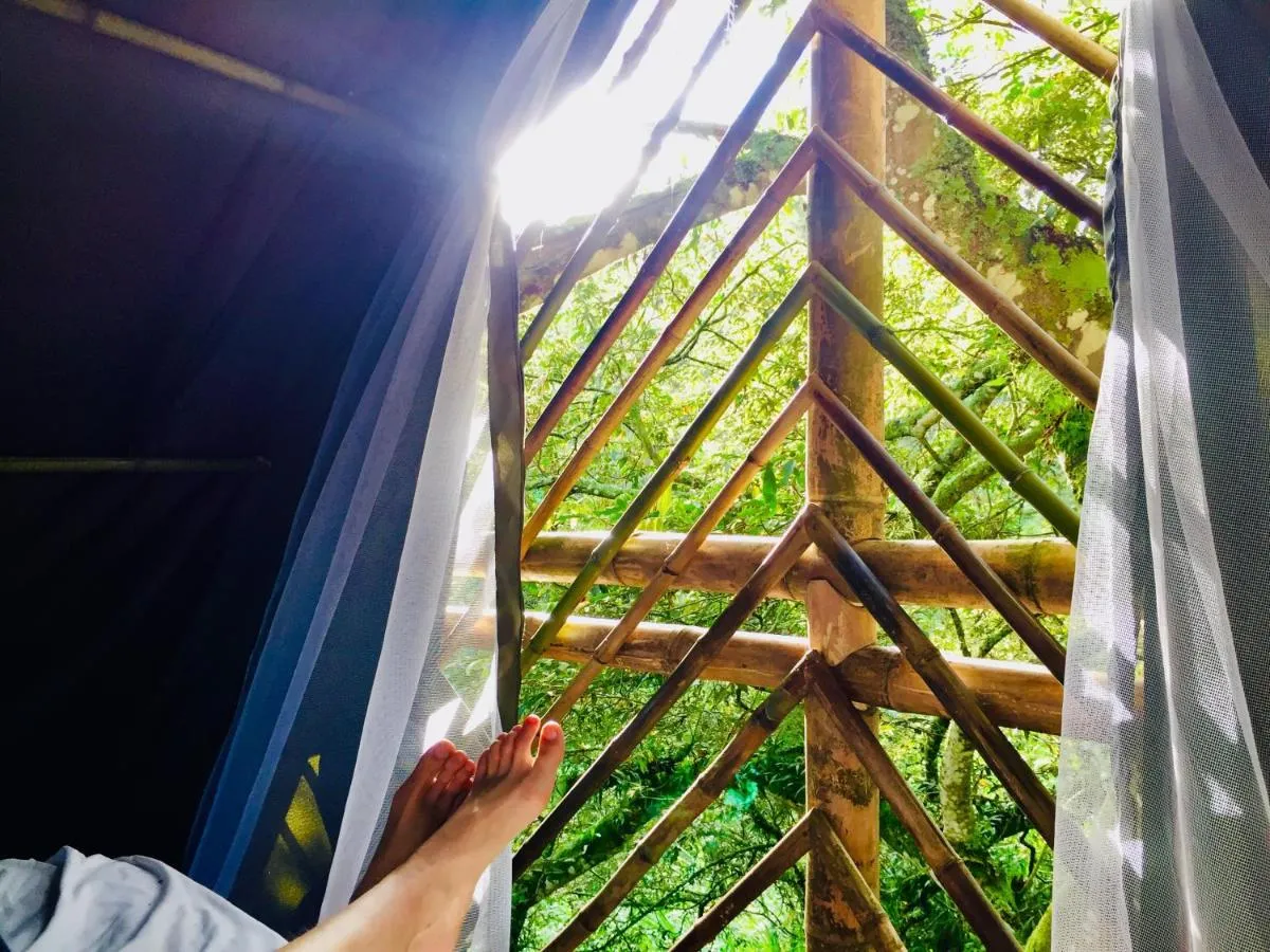 Image 4 of Glamping El Árbol en la Casa