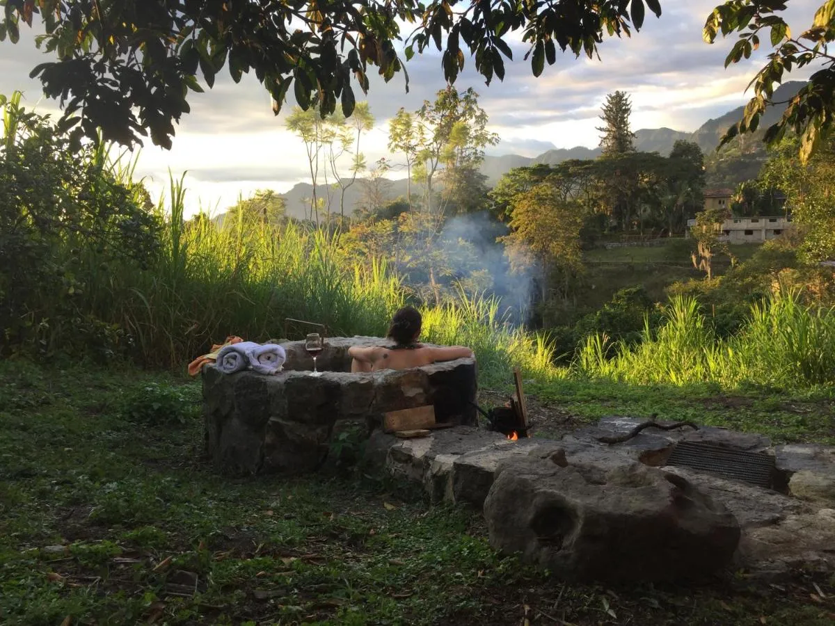 Image 2 of Glamping El Árbol en la Casa