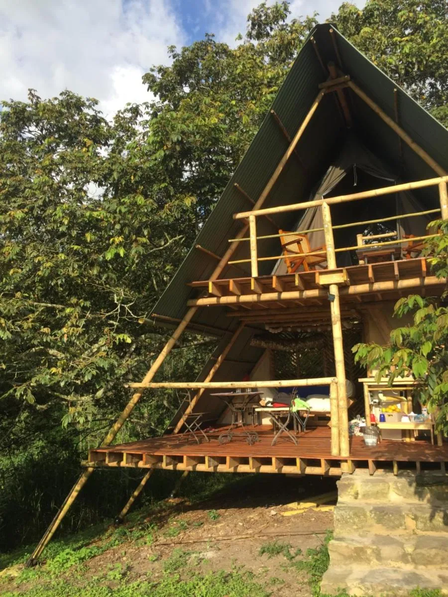 Image 1 of Glamping El Árbol en la Casa