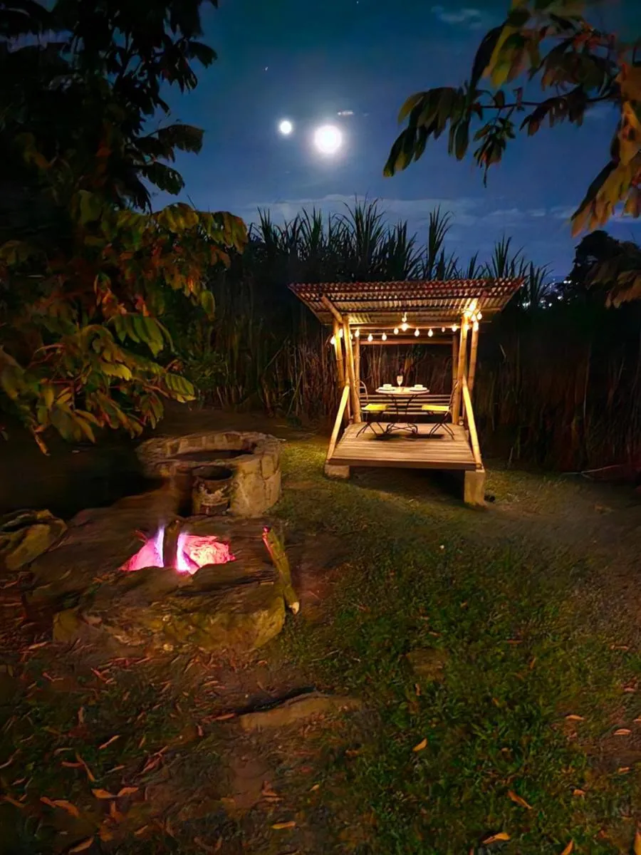 Image 3 of Glamping El Árbol en la Casa