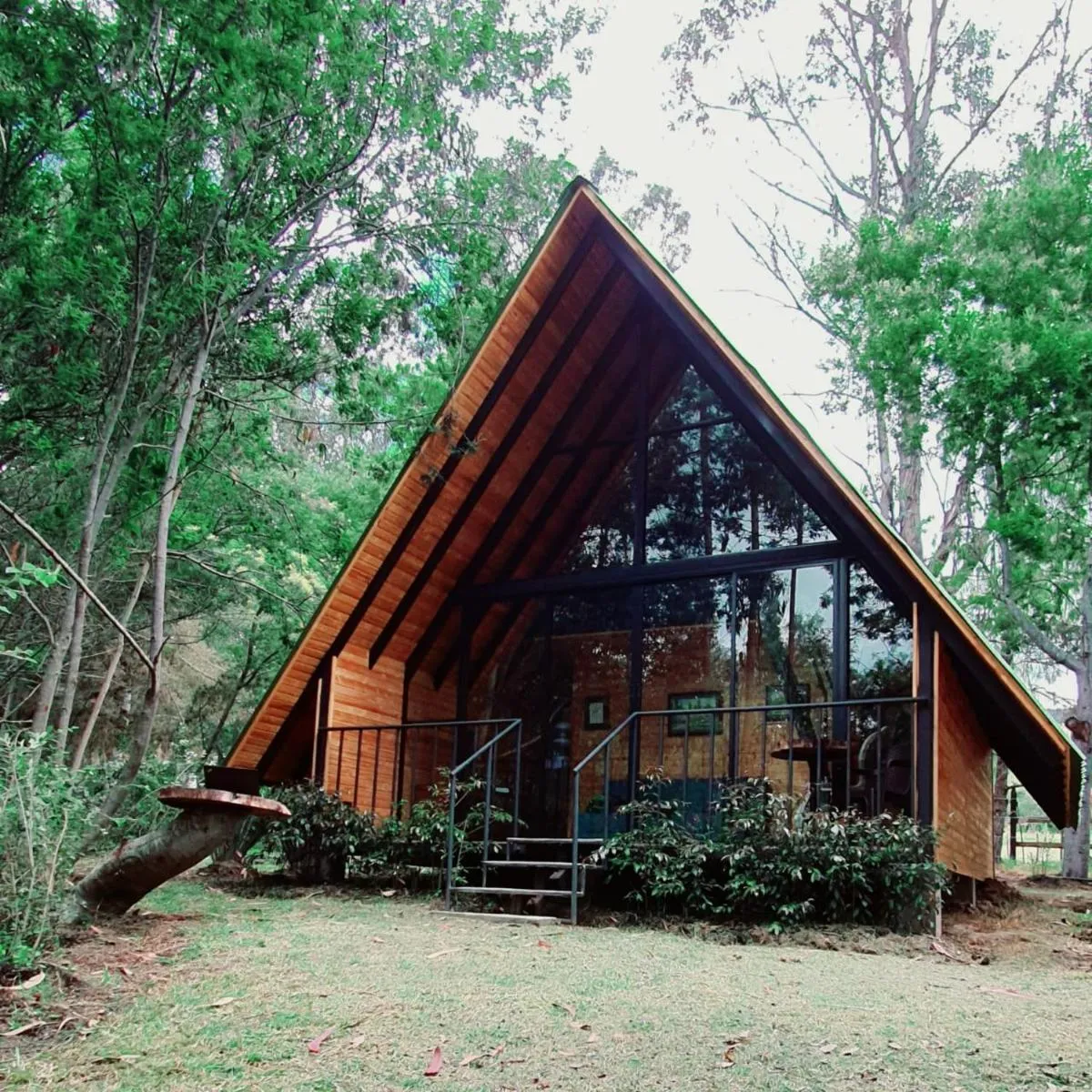 Image 3 of Glamping Los Ángeles