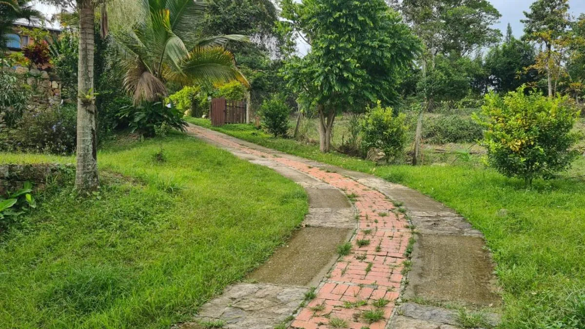 Image 3 of Hermosa Finca Villa Cadamaris