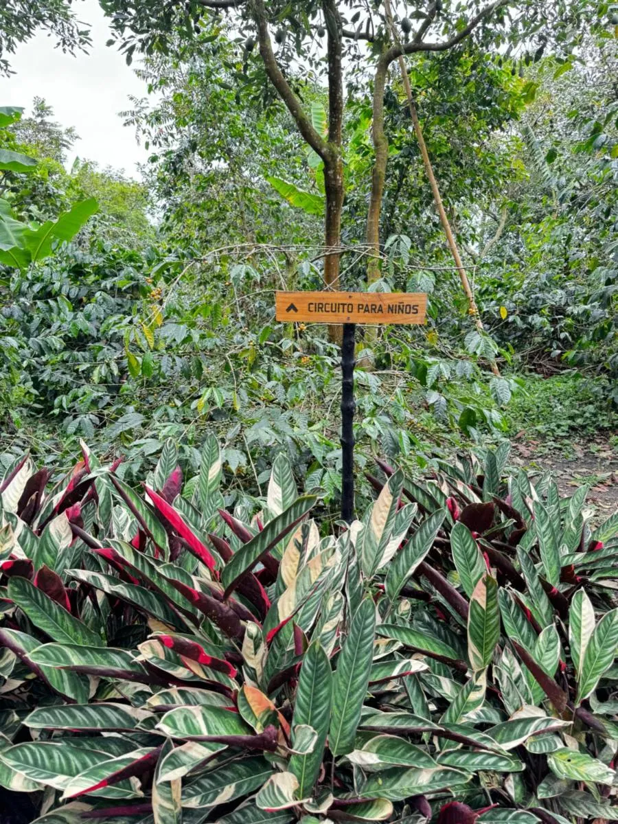 Image 1 of Hotel La Palma y El Tucán – Café y Naturaleza