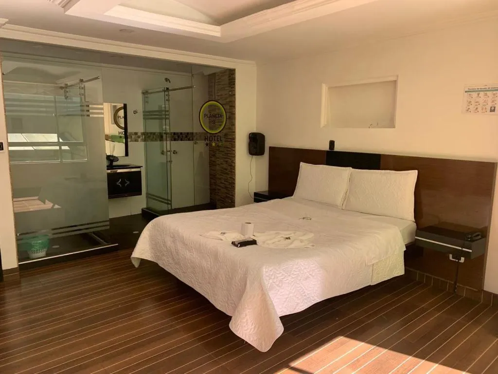 Image of Hotel Planeta 3