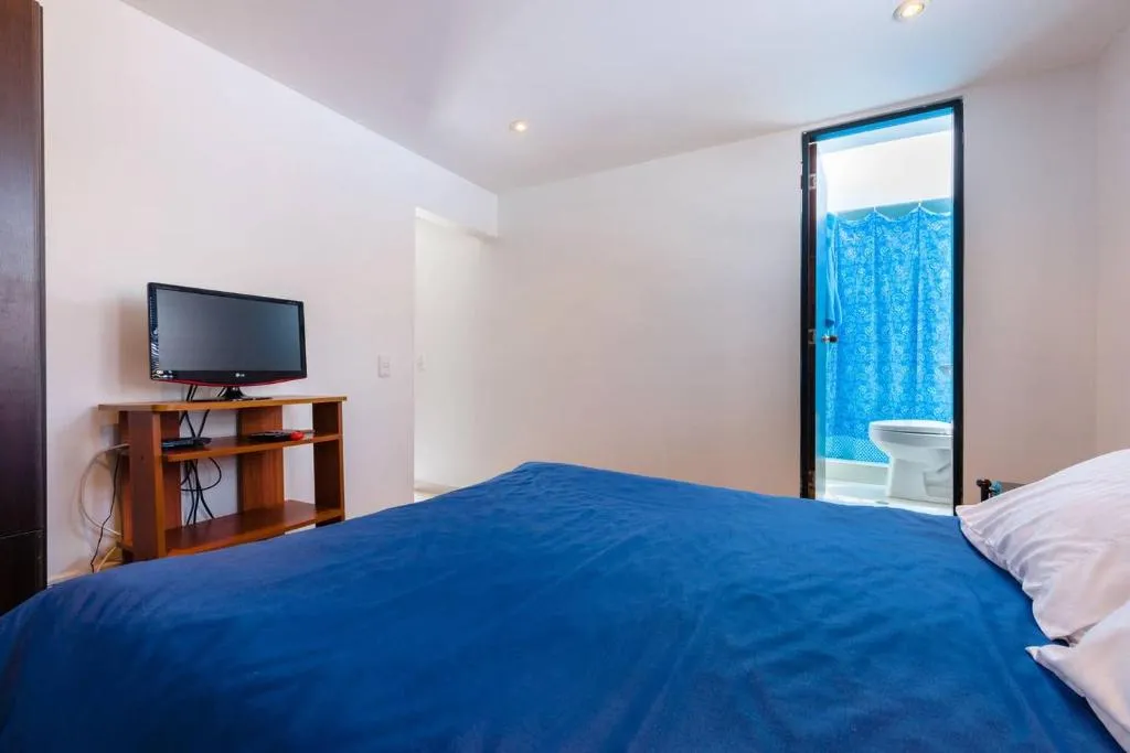 Image of LOFT APARTMENT IN CENTRAL LOCATION (301)