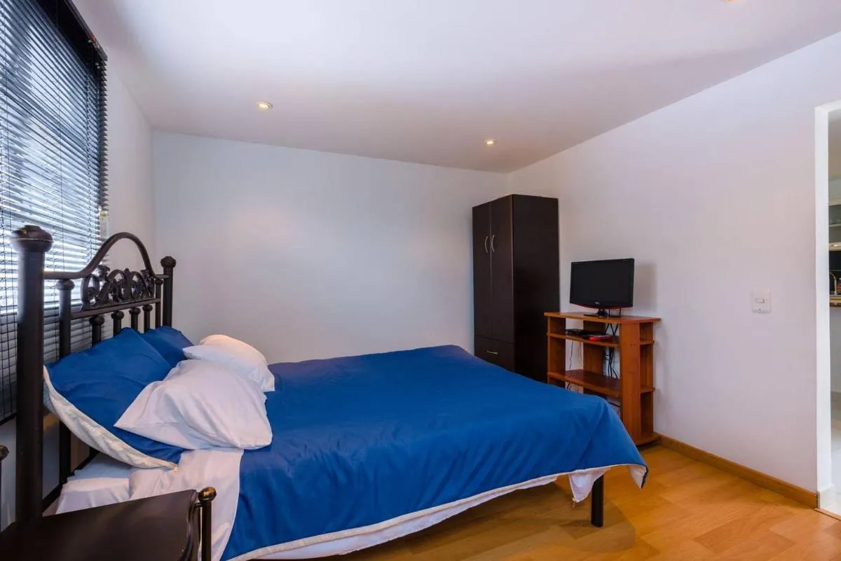 Image 1 of LOFT APARTMENT IN CENTRAL LOCATION (301)