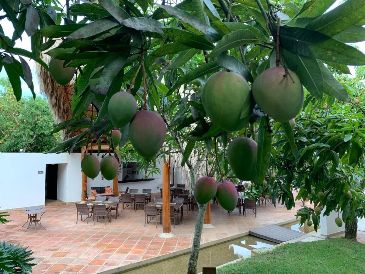 Image 5 of La Masia Hotel Boutique