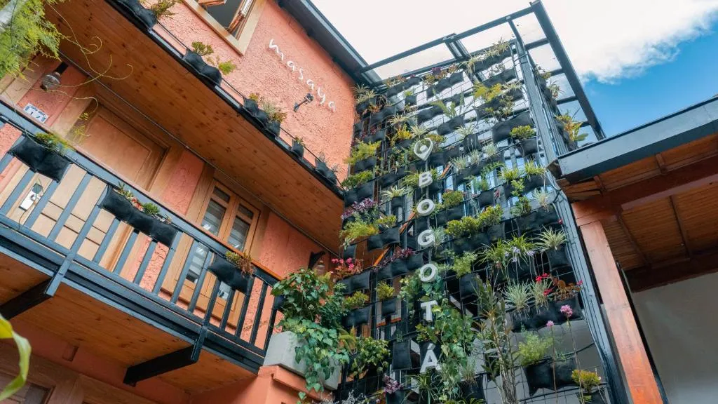 Image of Masaya Bogotá
