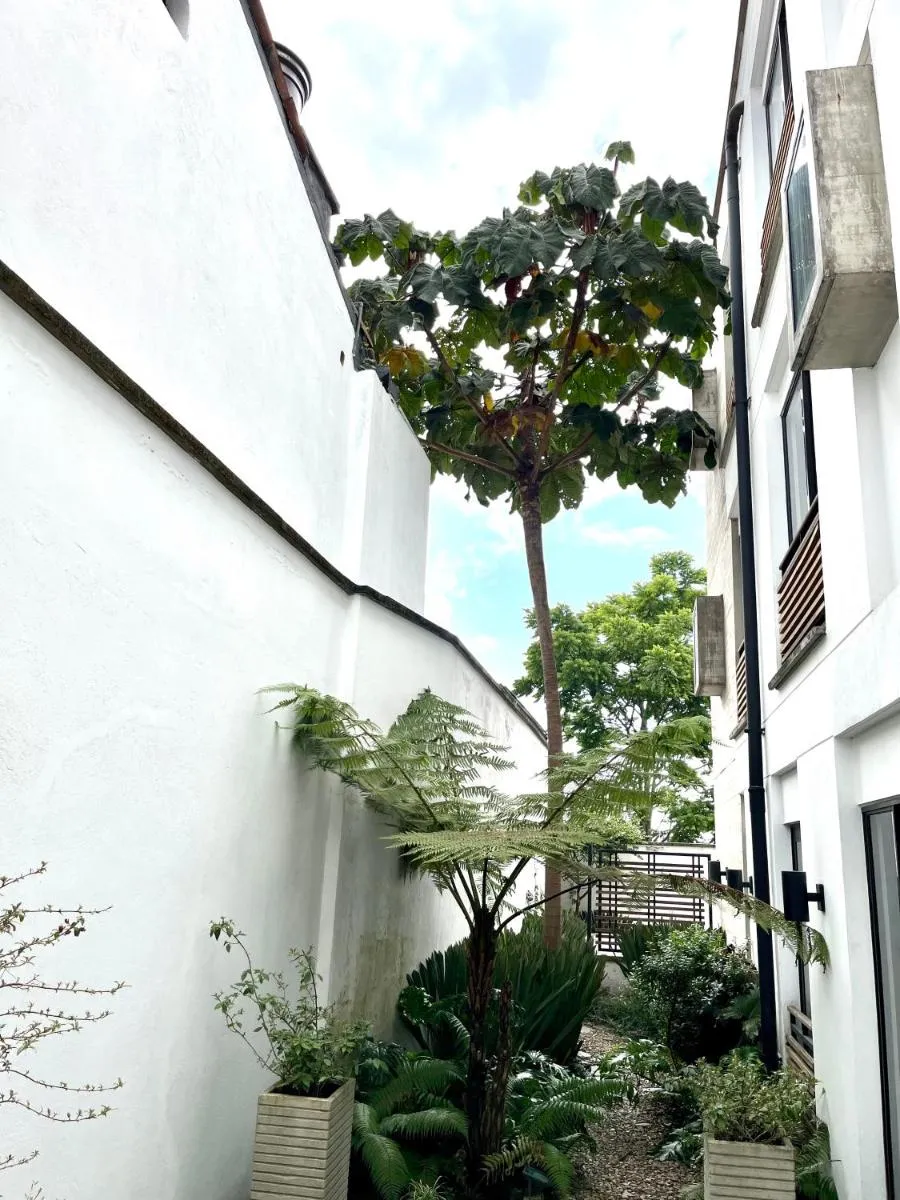 Image 5 of Modern loft, view-town-La Candelaria neighborhood