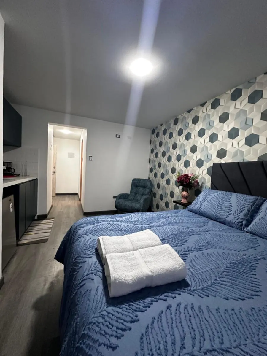 Image 1 of My Luxury House Movistar Arena