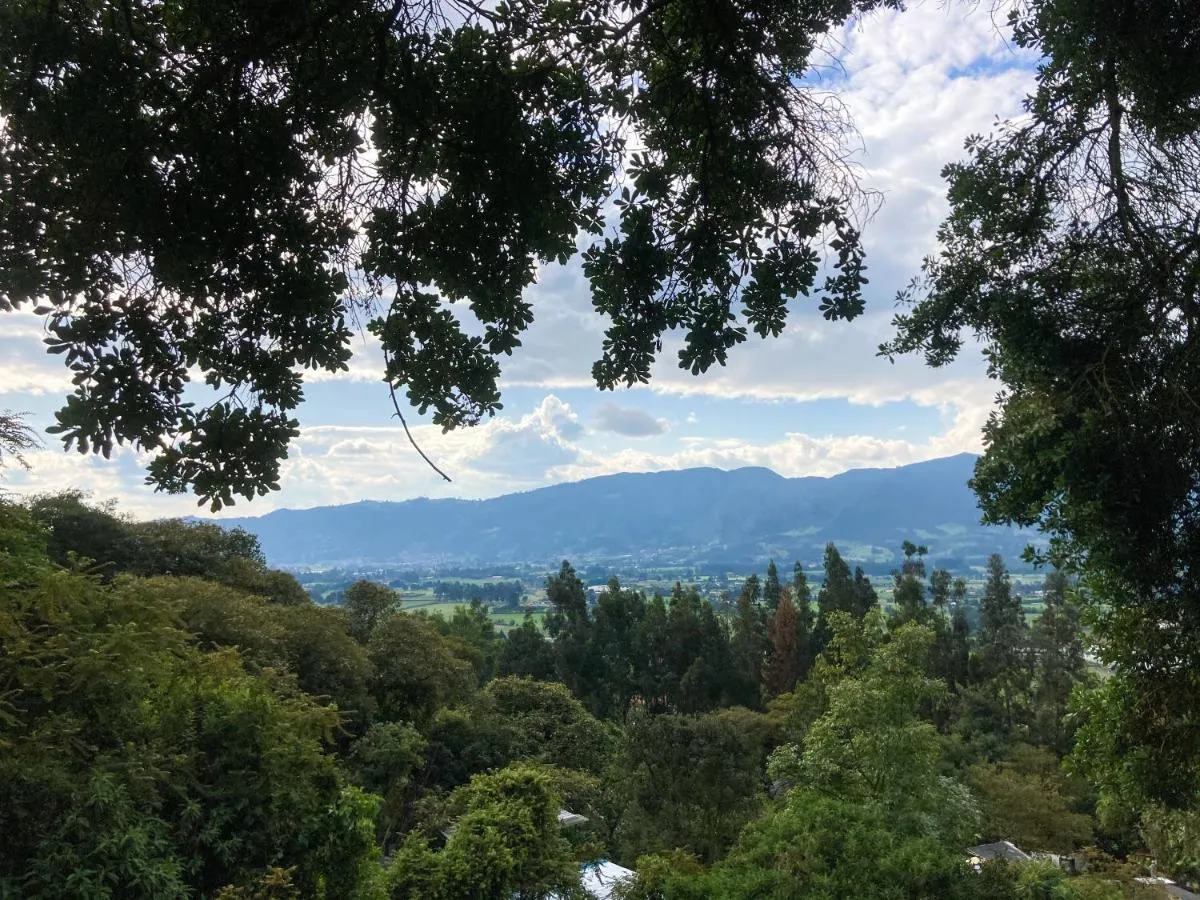 Image 4 of Palu Ecoaldea reserva forestal
