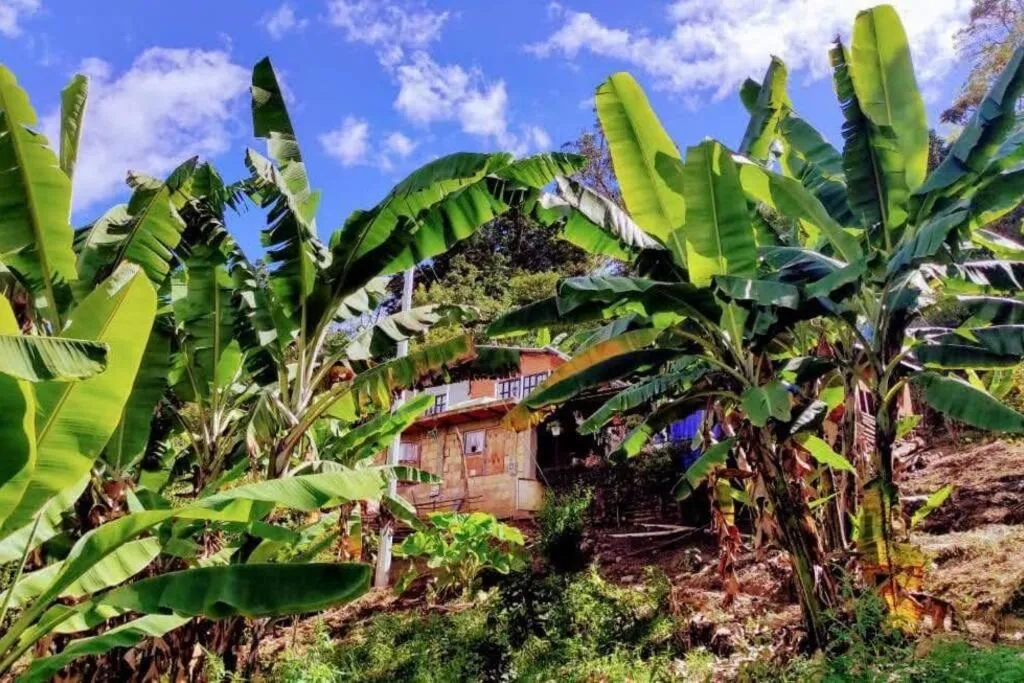 Image 1 of Posada Lu.Lu
