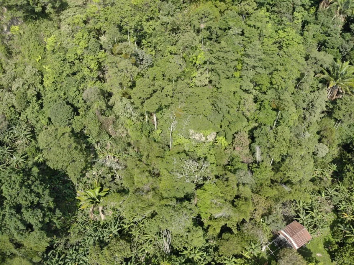 Image 4 of Red art house en reserva natural