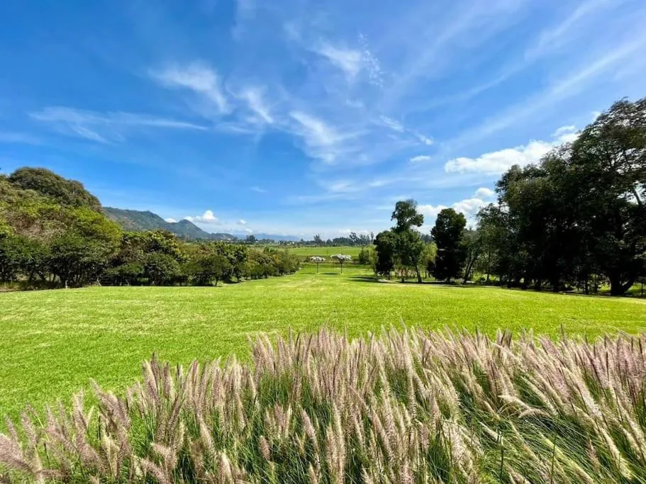 Image 4 of The Abbey – Palatial Estate – Long Term Deals