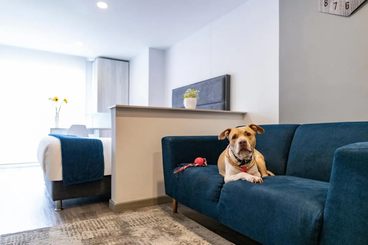 Image 4 of Torre Ventto Lofts