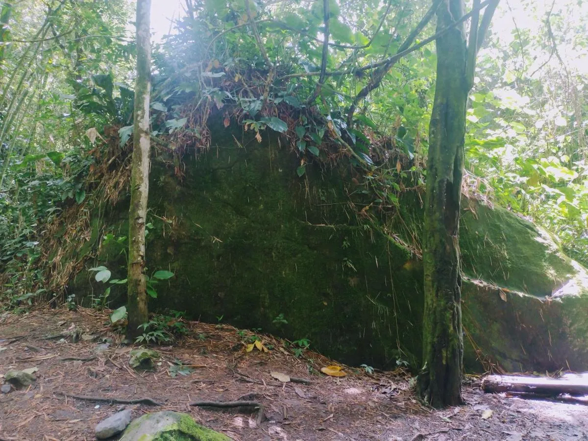 Image 2 of Villa Falian Nido martín pescador