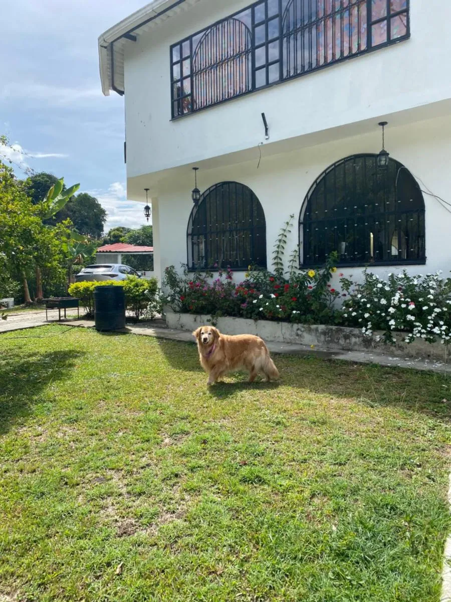 Image 4 of Villa Gabritali