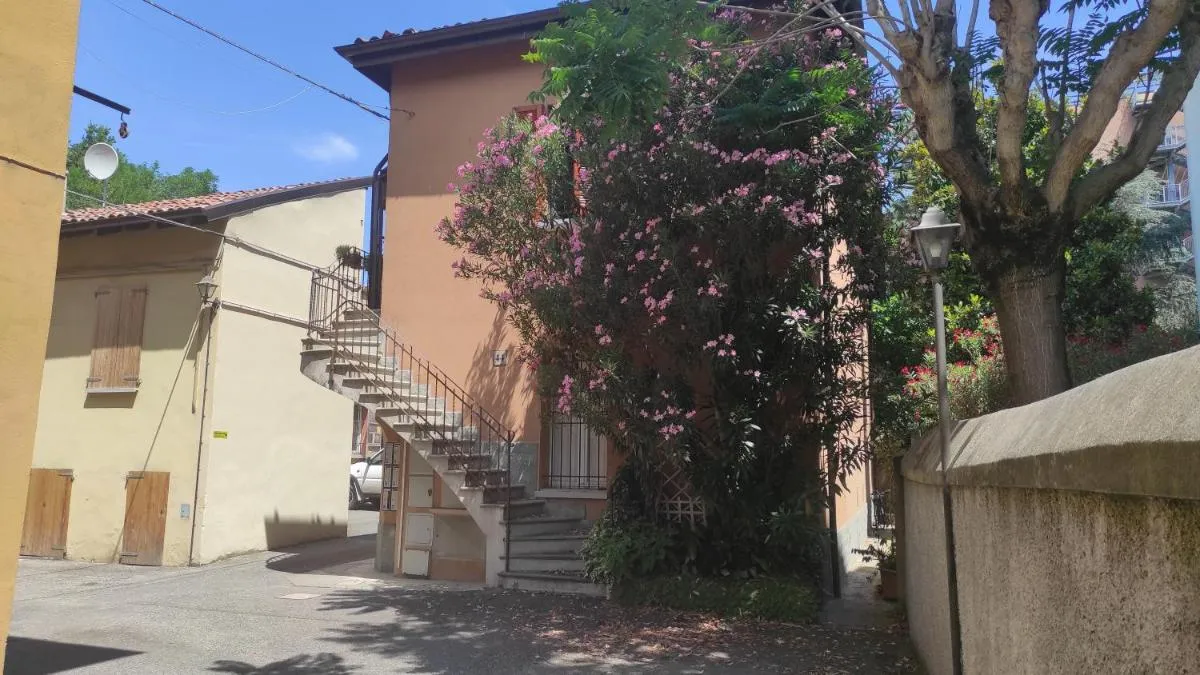 Image 5 of BORGHETTO 36
