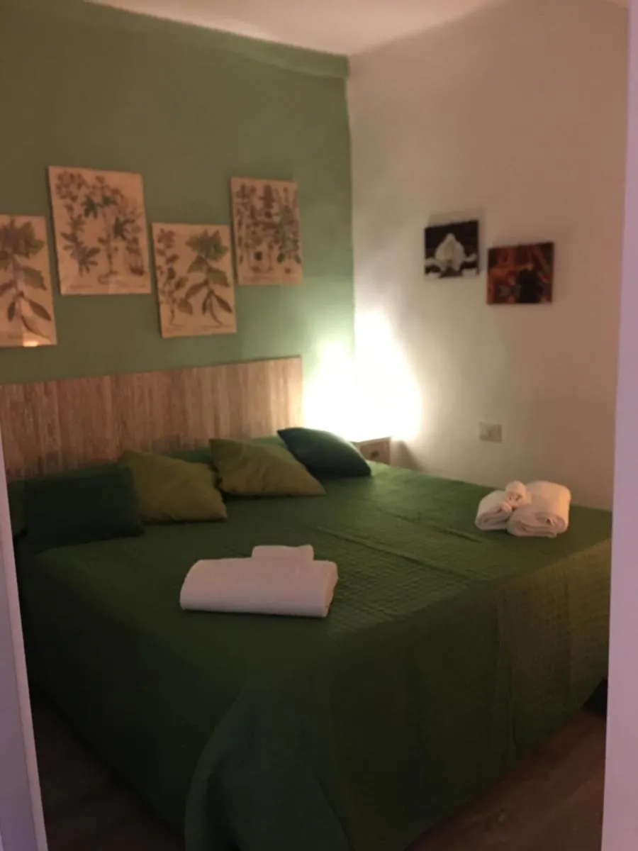 Image 6 of CASA NOAH