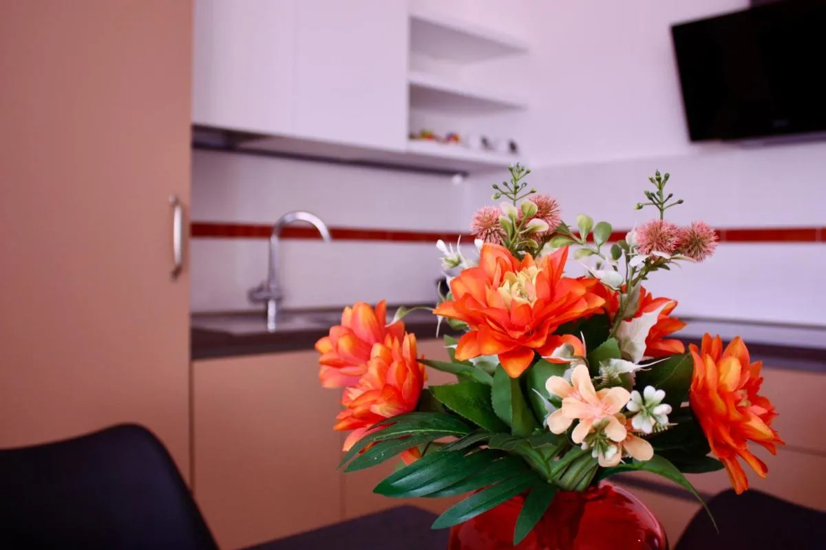 Image 2 of Casa Colore
