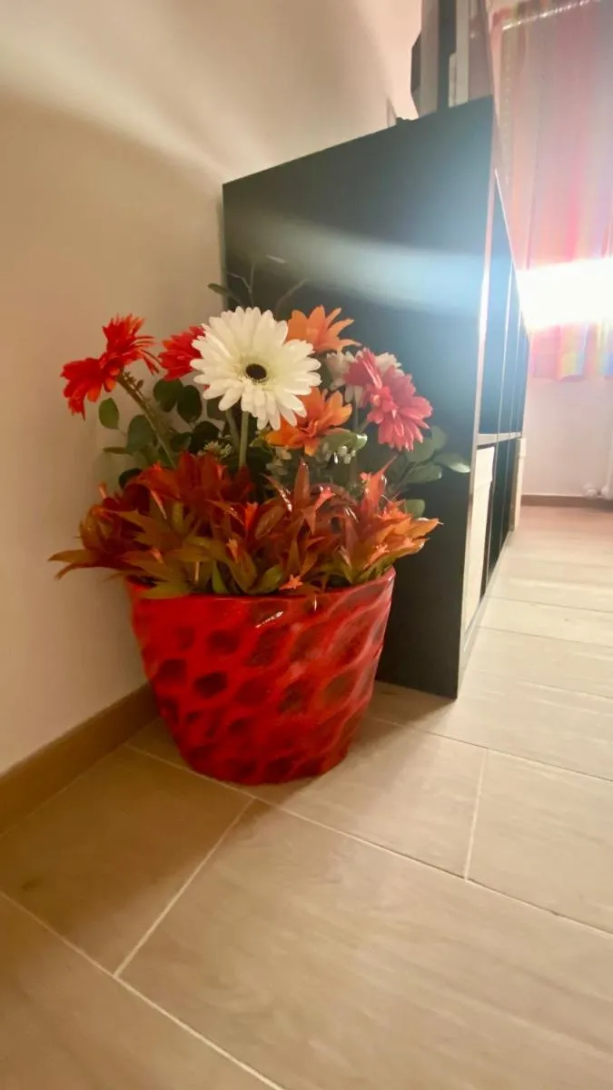 Image 6 of Casa Colore