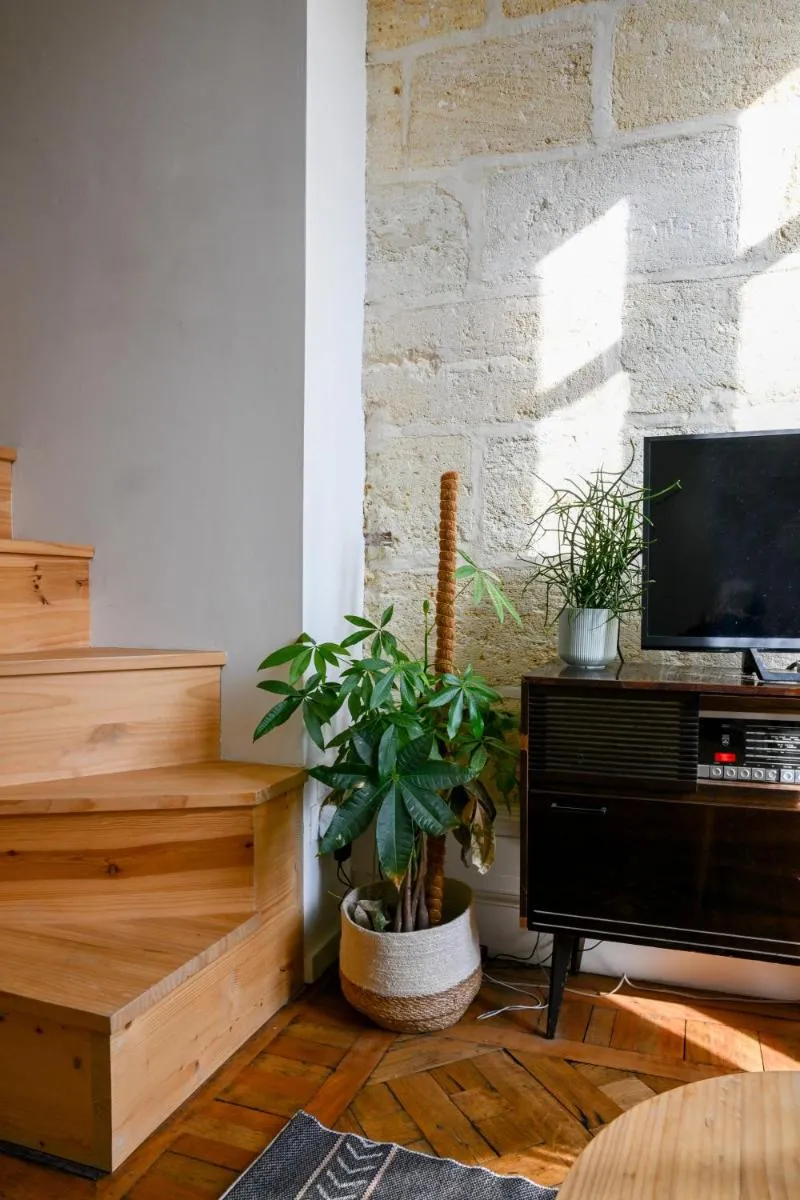 Image 5 of Appartement gare Saint jean