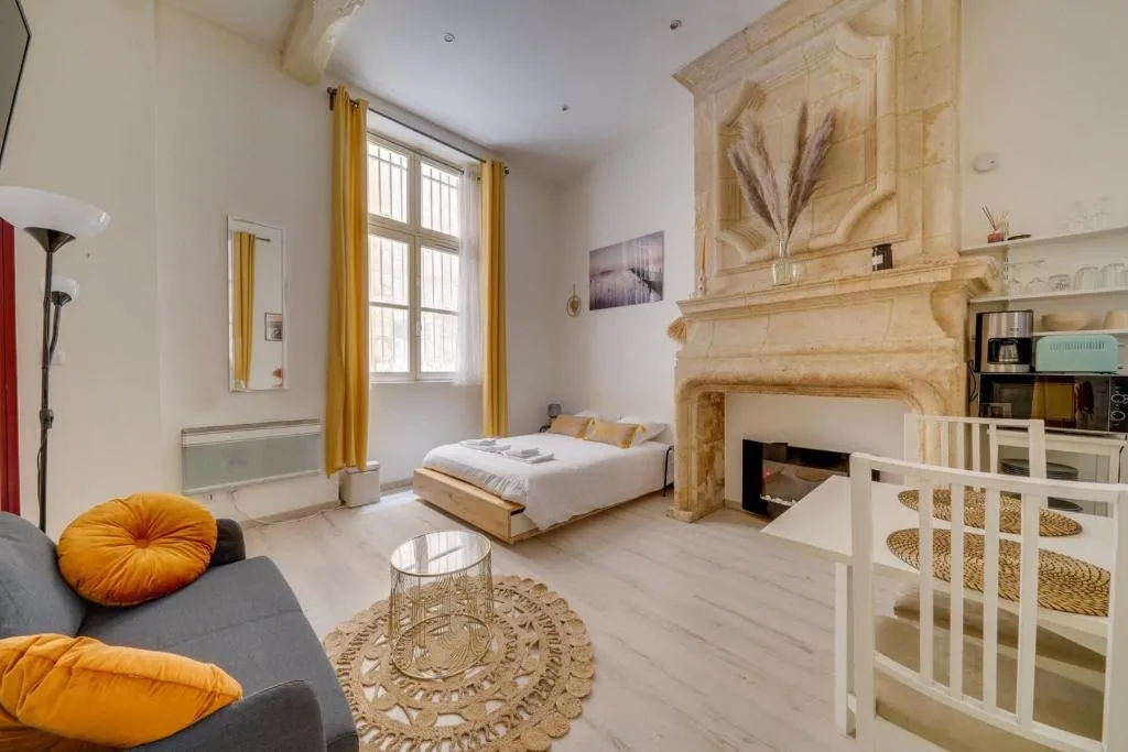 Image of Charming hypercentre apartment Bordeaux