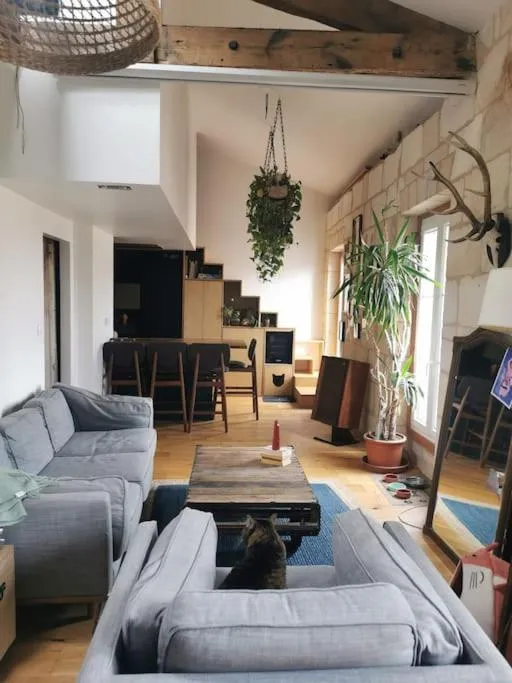 Image 4 of Duplex atypique et chaleureux, hyper centre