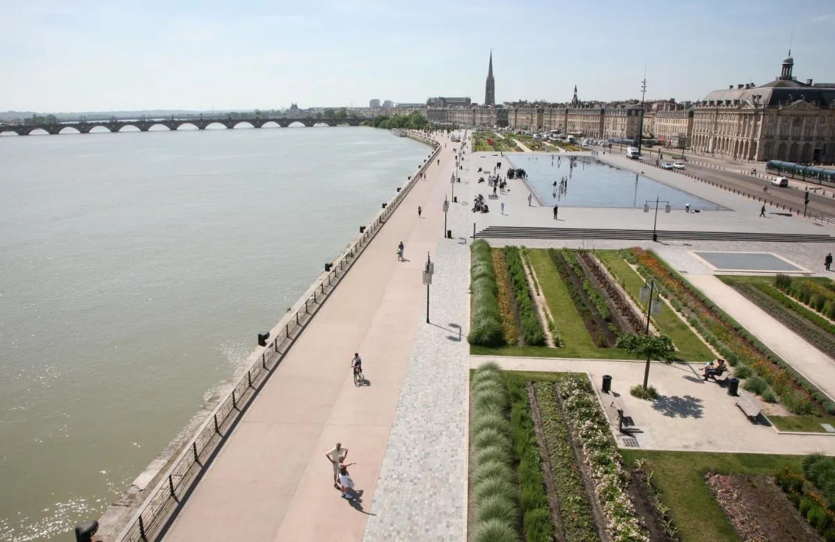 Image 6 of Sweet Morning Bordeaux