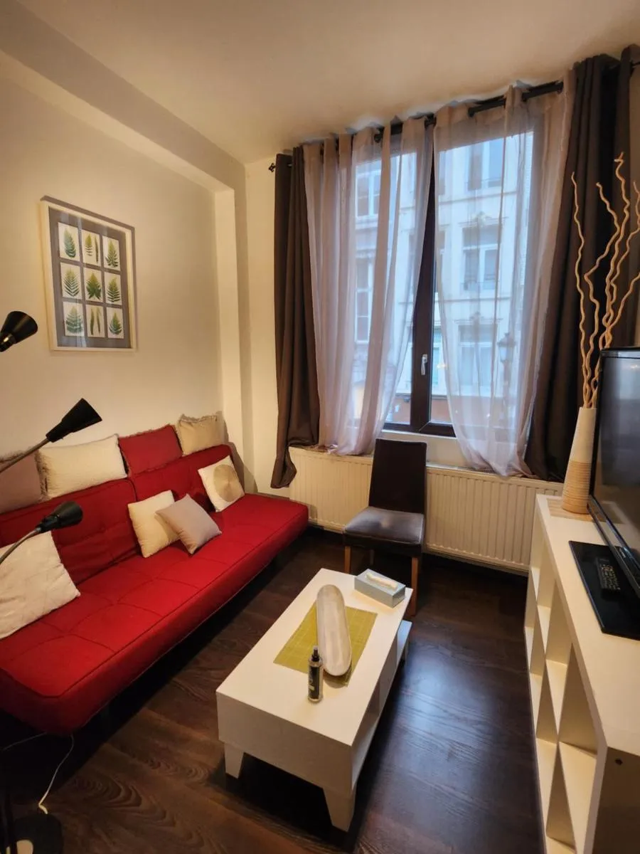 Image 1 of Appartement de charme au cœur de Bruxelles!!
