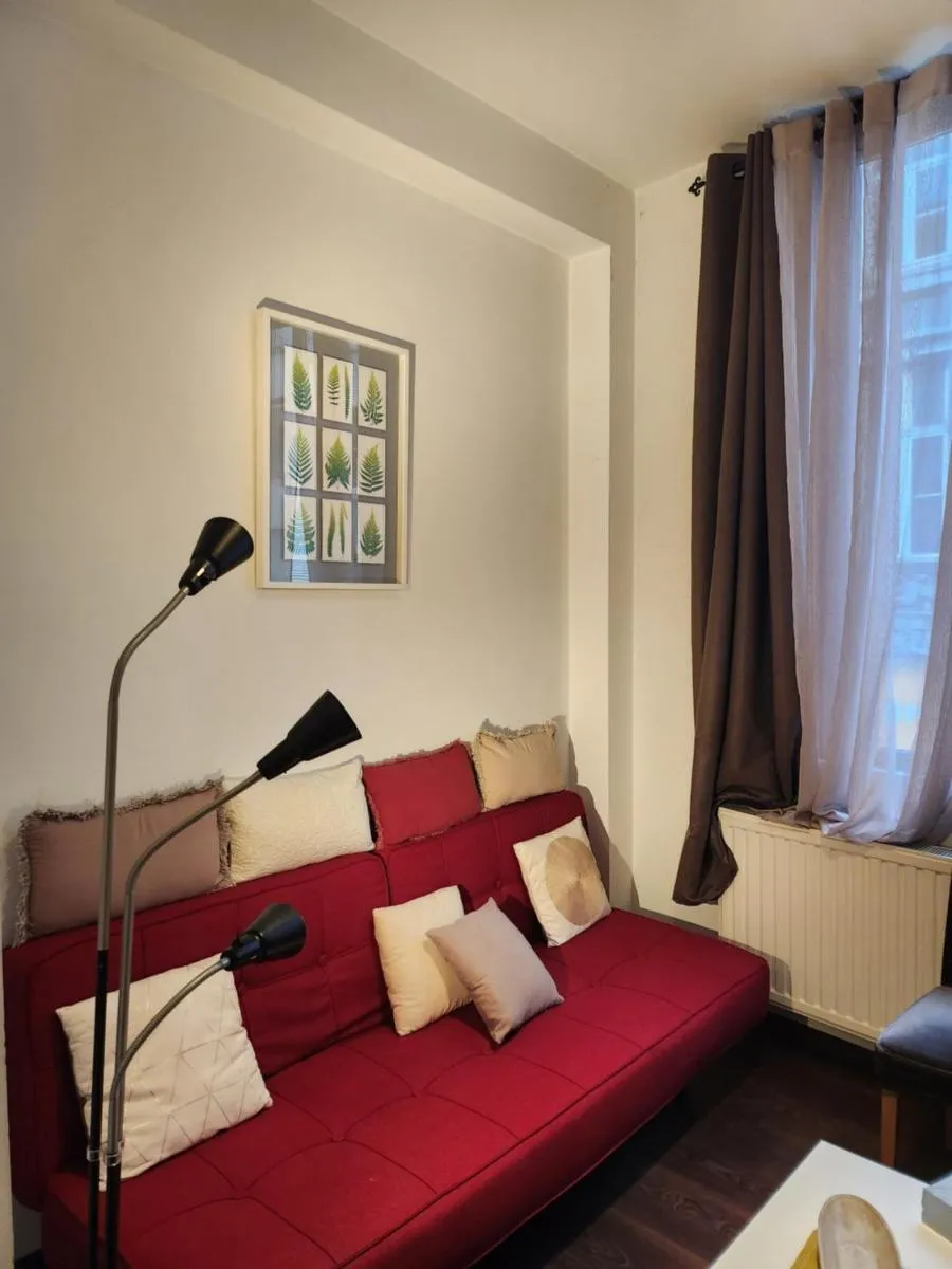 Image 6 of Appartement de charme au cœur de Bruxelles!!